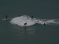 pic_ByronBay012.jpg